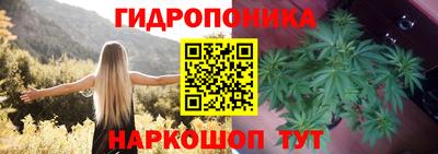 прущие грибы Пыть-Ях