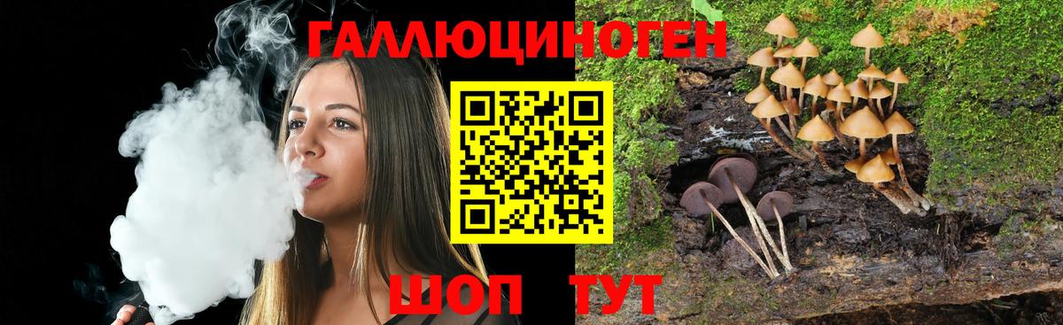 Галлюциногенные грибы Psilocybine cubensis Сертолово